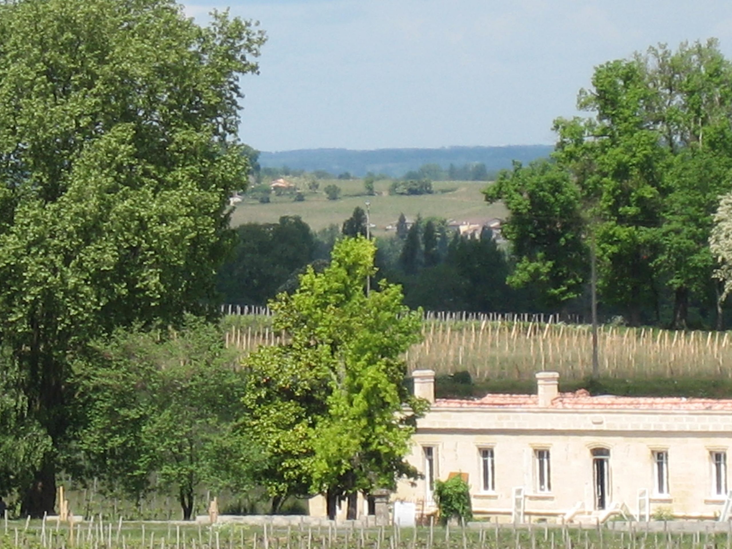 IMG_1195 (1)